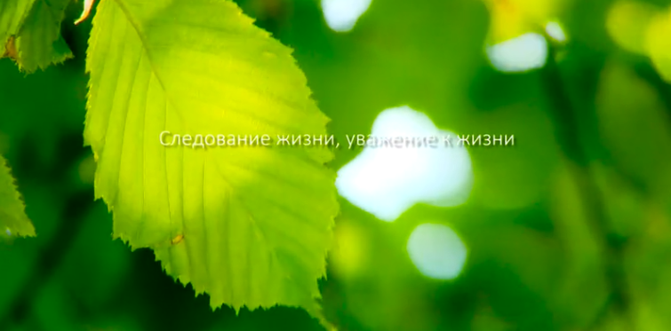 NG电子游戏集团形象片（русский）