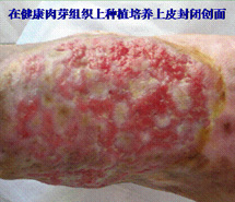 NG电子游戏·(中国区)官方网站