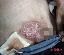 NG电子游戏·(中国区)官方网站