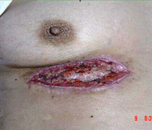 NG电子游戏·(中国区)官方网站