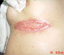 NG电子游戏·(中国区)官方网站