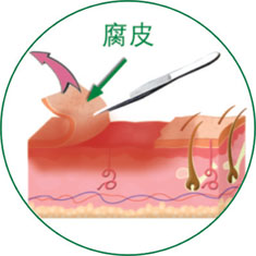 NG电子游戏·(中国区)官方网站
