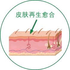 NG电子游戏·(中国区)官方网站