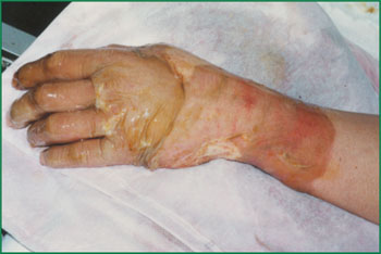 NG电子游戏·(中国区)官方网站