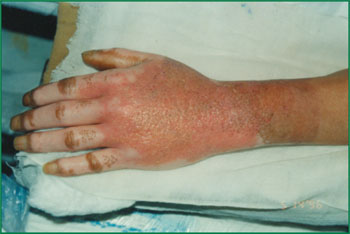 NG电子游戏·(中国区)官方网站