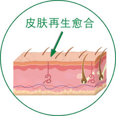 NG电子游戏·(中国区)官方网站