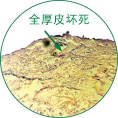 NG电子游戏·(中国区)官方网站