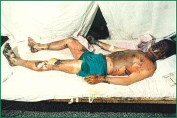 NG电子游戏·(中国区)官方网站