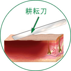NG电子游戏·(中国区)官方网站