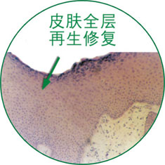 NG电子游戏·(中国区)官方网站
