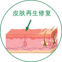 NG电子游戏·(中国区)官方网站