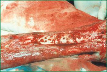 NG电子游戏·(中国区)官方网站