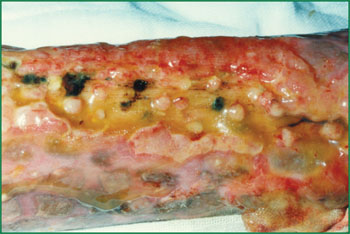 NG电子游戏·(中国区)官方网站