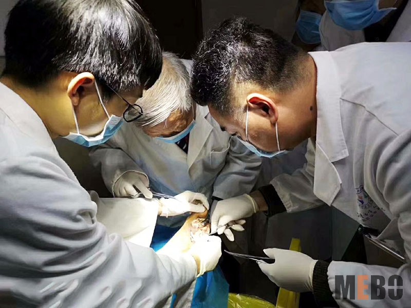 NG电子游戏·(中国区)官方网站