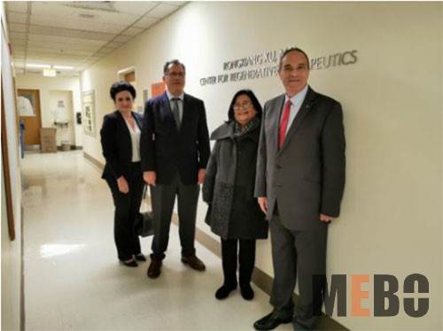 NG电子游戏·(中国区)官方网站