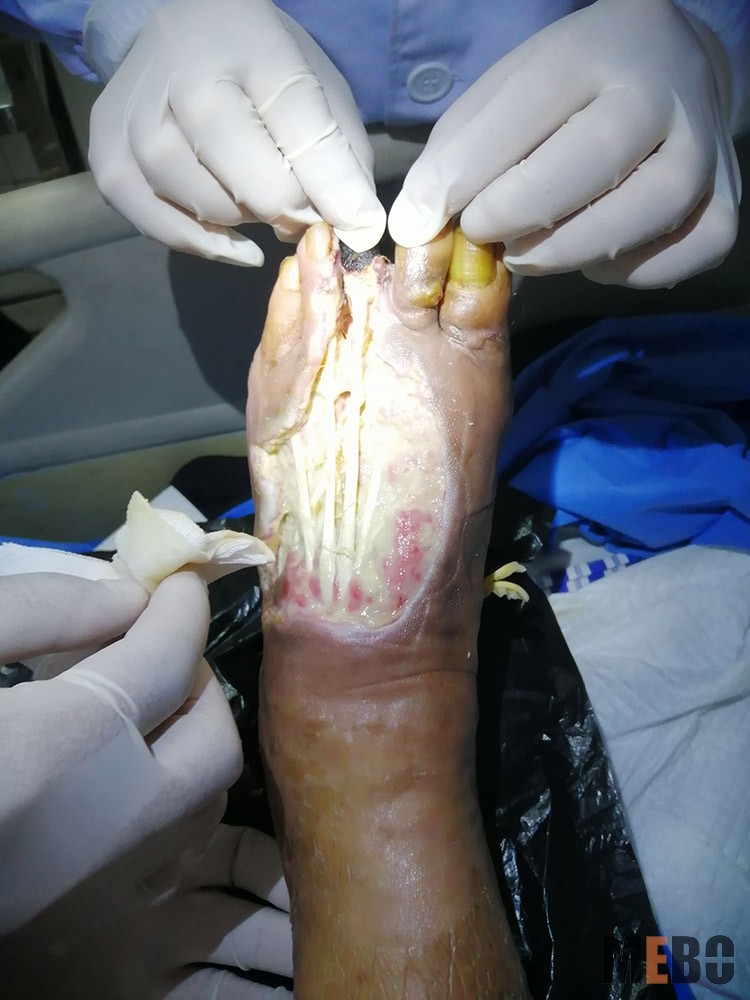 NG电子游戏·(中国区)官方网站