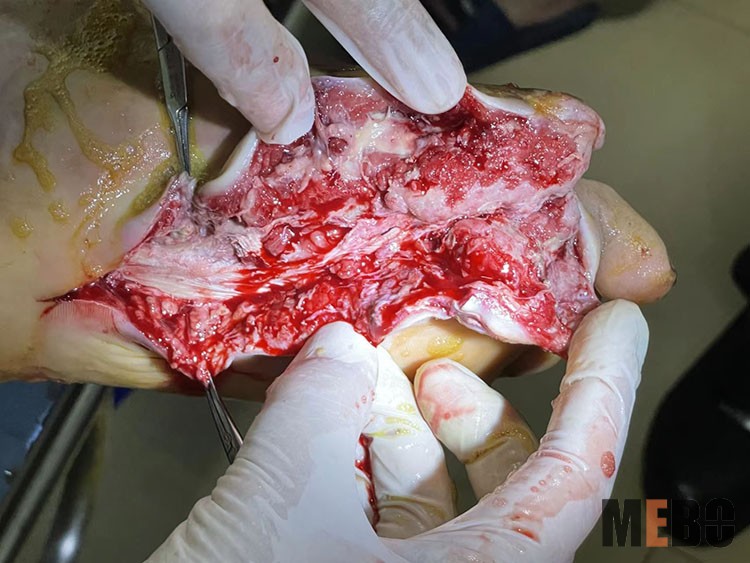 NG电子游戏·(中国区)官方网站