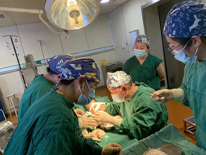 NG电子游戏·(中国区)官方网站