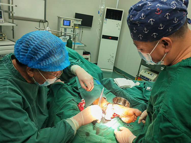 NG电子游戏·(中国区)官方网站