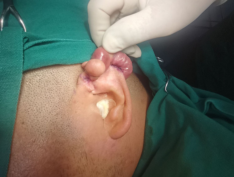 NG电子游戏·(中国区)官方网站