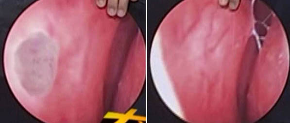 NG电子游戏·(中国区)官方网站