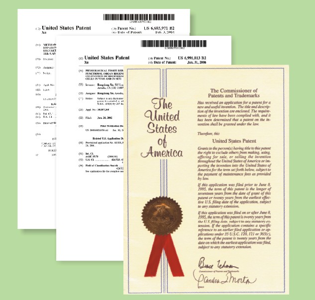 NG电子游戏·(中国区)官方网站