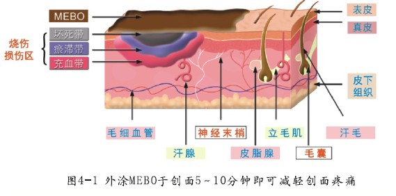 NG电子游戏·(中国区)官方网站