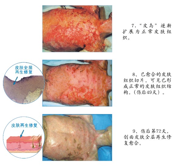 NG电子游戏·(中国区)官方网站