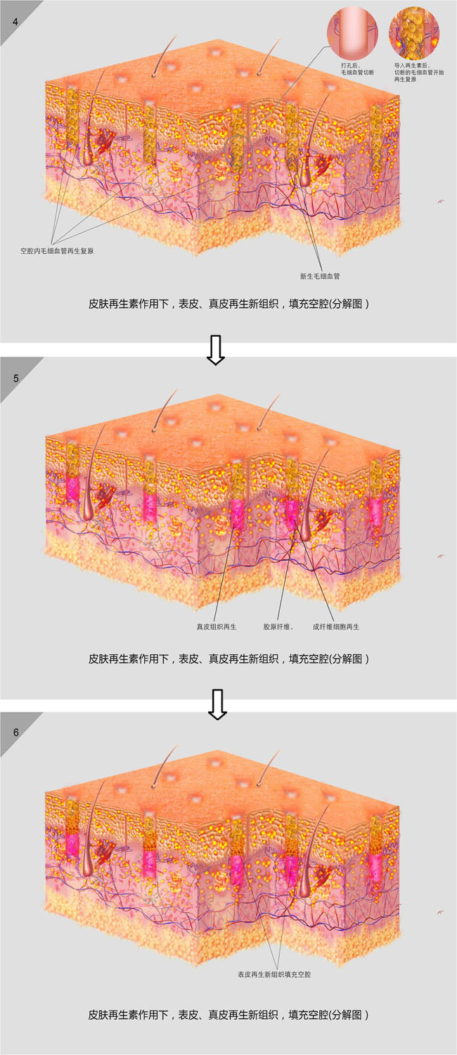 NG电子游戏·(中国区)官方网站