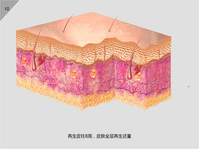NG电子游戏·(中国区)官方网站