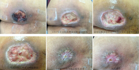 NG电子游戏·(中国区)官方网站